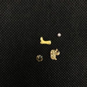 Origami Owl Charms Set